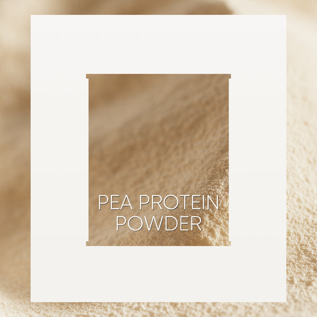 เซ็ตคู่หูโปรตีนถั่วลันเตา สร้างกล้ามเนื้อ (Pea Protein + Pea Protein)