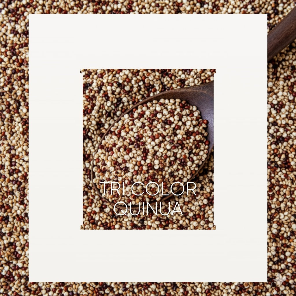 Llamito ควินัว 3 สี ออร์แกนิค (Organic Tricolor Quinoa) ขนาด 900g-